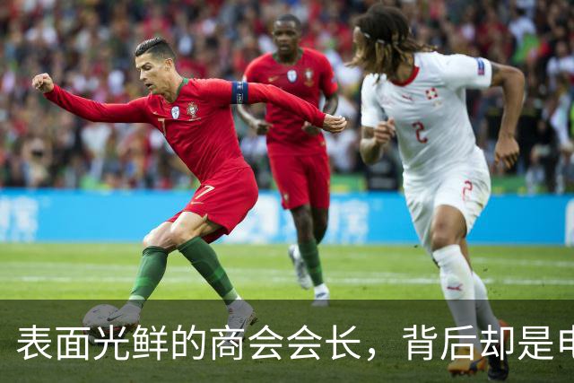 表面光鲜的商会会长，背后却是电诈黑手党的操盘手